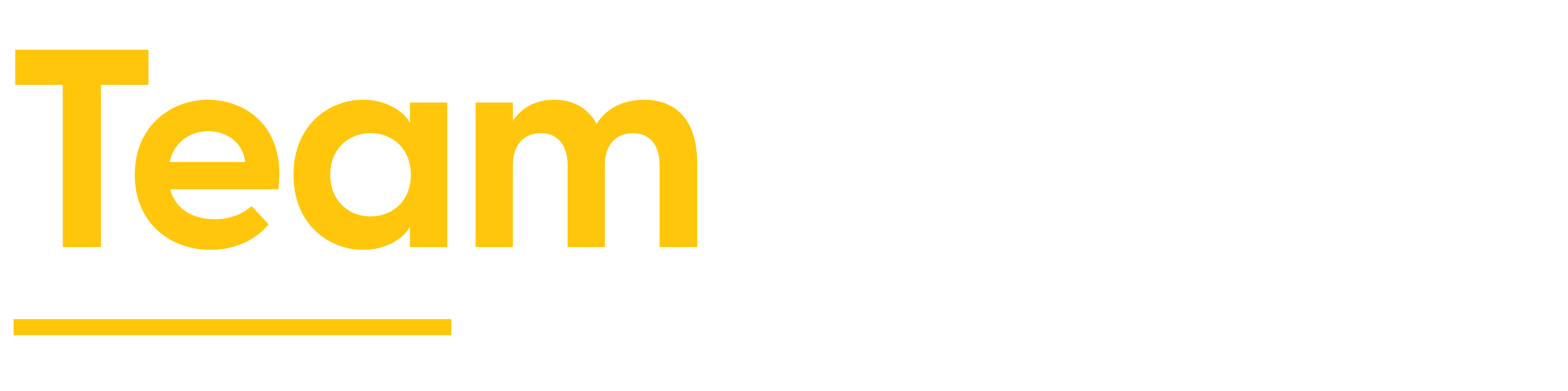 TeamFicient Logo